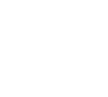 Ton Logo - Parceiro Oficial